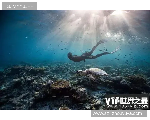 深圳极限运动队实力崛起荣登全国力量排行榜第十名