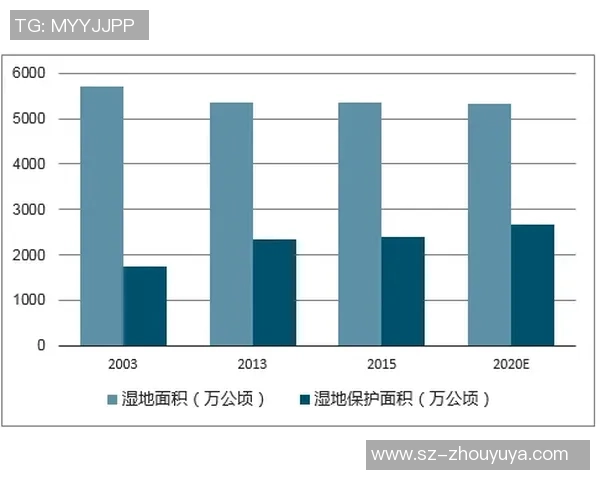 深圳排球队个人能力分析与表现评估研究报告